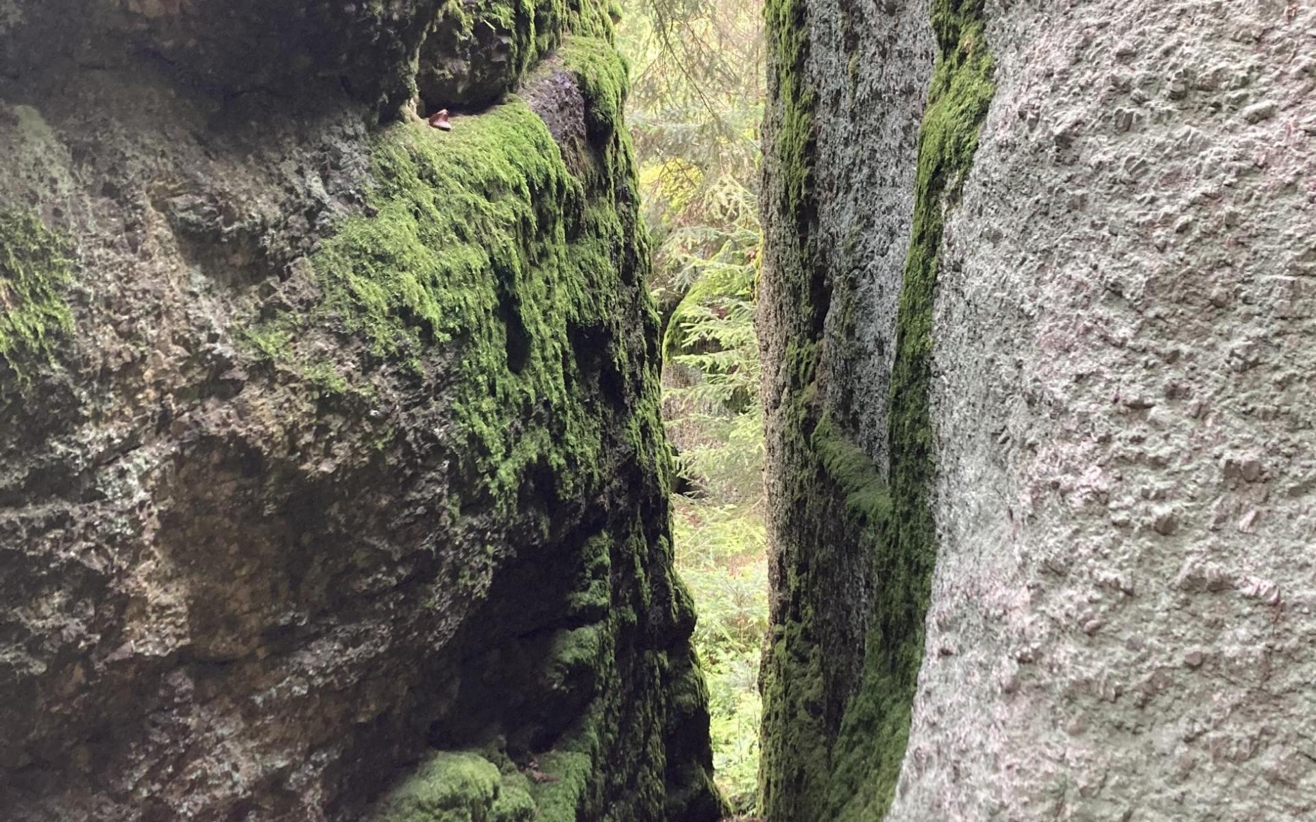 Mühlviertler Steinformationen im Wald