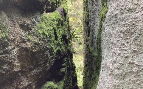 Mühlviertler Steinformationen im Wald
